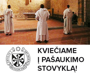 op pasaukimo stovykla 2016